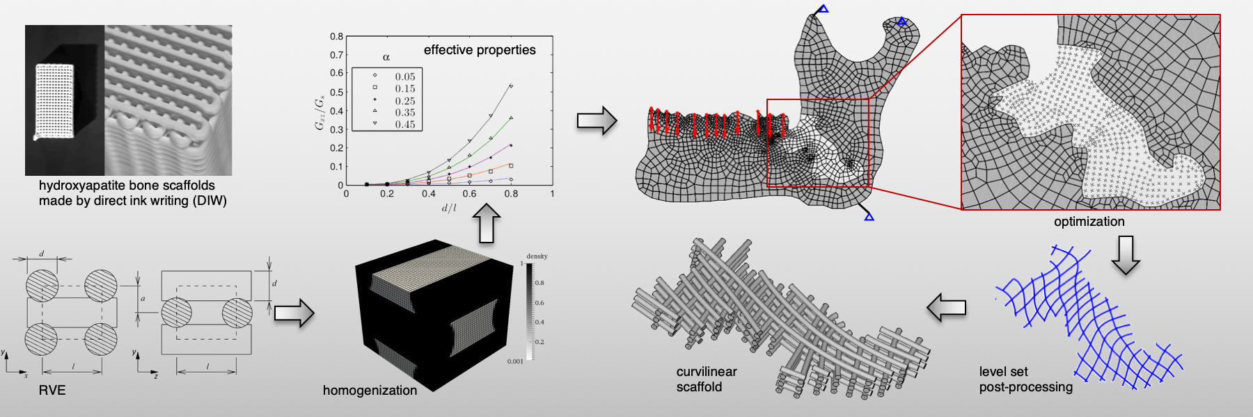 This slide shows the steps of a computational method to design synthetic, curvilinear bone scaffolds